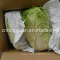 Chinese Fresh Cabbage with Good Quality